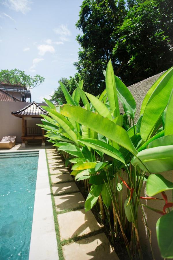 Donguri House Bali Bed & Breakfast Jimbaran  Exterior photo